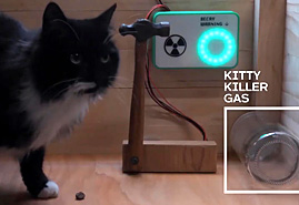 Schrödinger's Cat: Dead, Alive or Both?