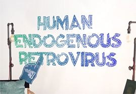 You Are Part Virus: Human Endogenous Retroviruses