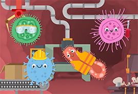 The Gut-Brain Axis: Do We Have a Second Brain?