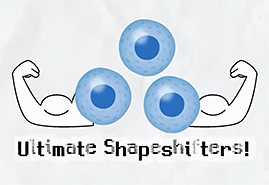 Organoids: The Science that Heals